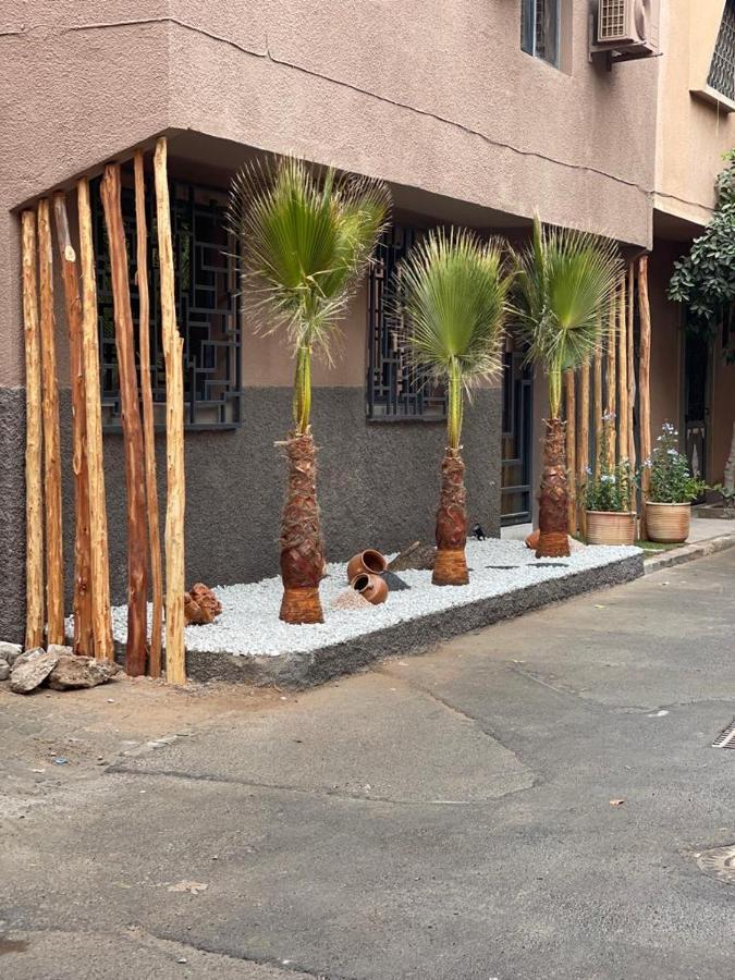 Riad La Petite Majorelle 马拉喀什 外观 照片